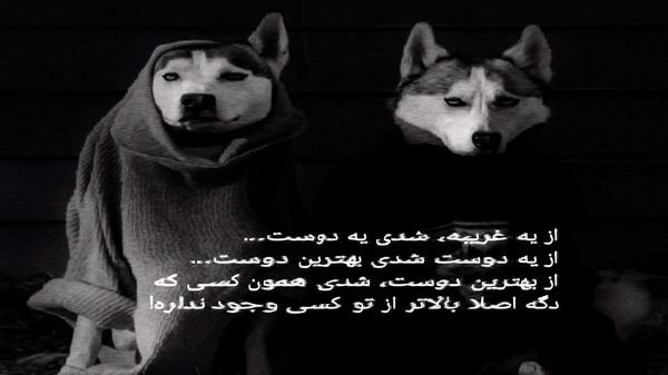 تویی همه ابروم بی ابروم نکن صدای زن